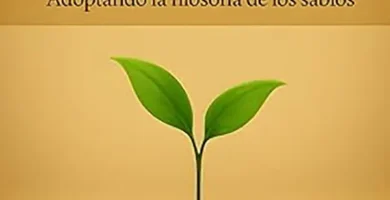 El tao del inversor sabiduría práctica para una mentalidad de inversión sólida 9 El tao del inversor sabiduría práctica para una mentalidad de inversión sólida