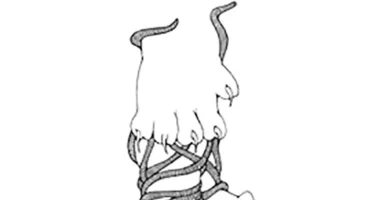 La economía atrapada cómo los gestores de poder encadenan al Estado y frenan el desarrollo 4 La economía atrapada cómo los gestores de poder encadenan al Estado y frenan el desarrollo